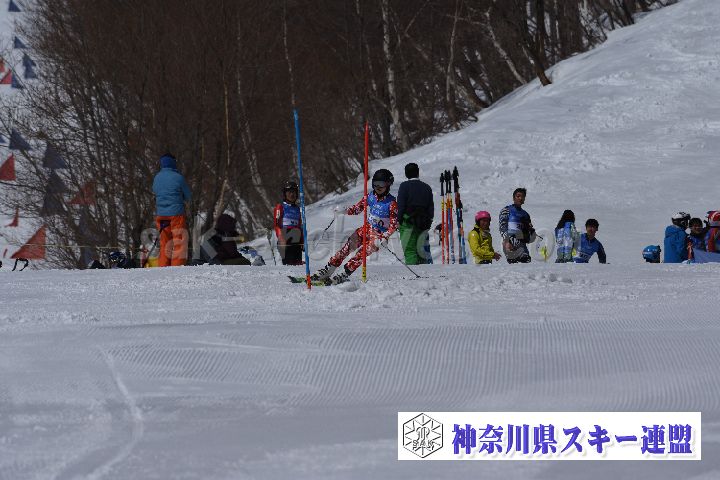 190309_103753_4.jpg