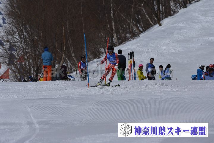 190309_103754_3.jpg