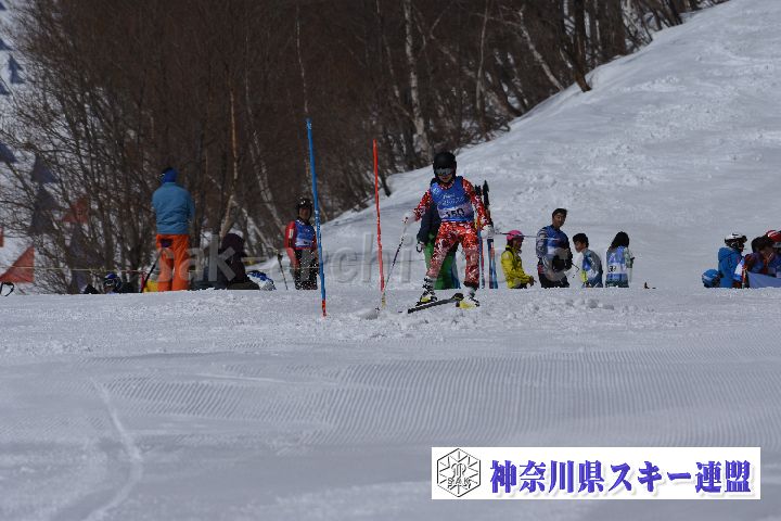 190309_103754_4.jpg