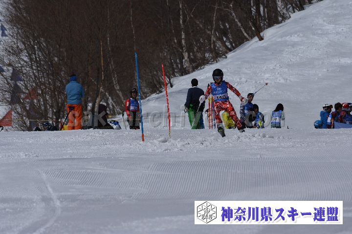 190309_103754_5.jpg