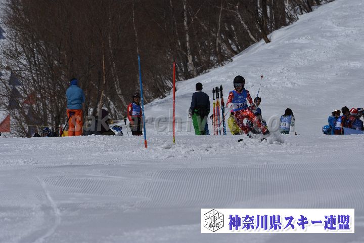 190309_103755_0.jpg