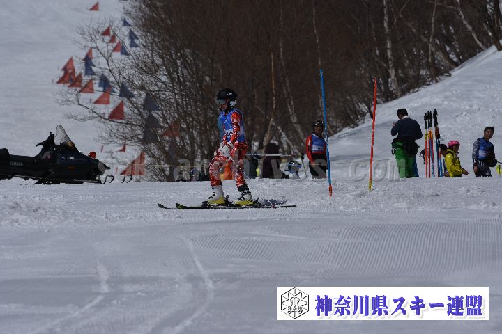 190309_103756_0.jpg