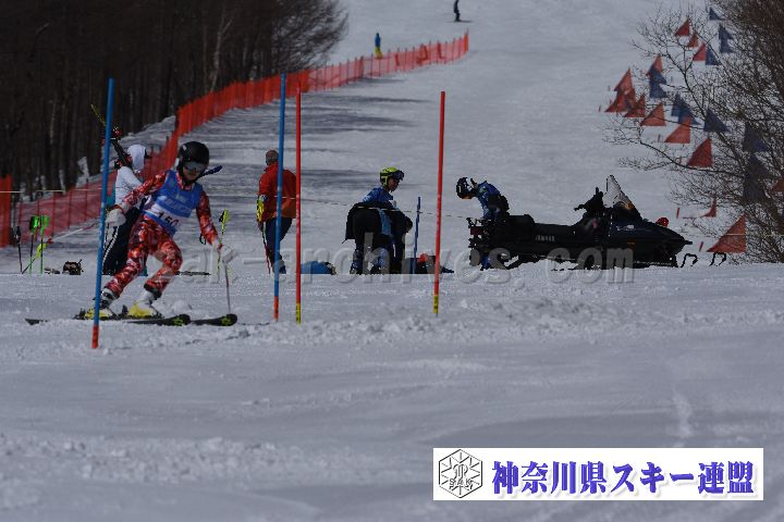 190309_103758_0.jpg