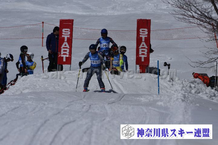 190309_103828_0.jpg