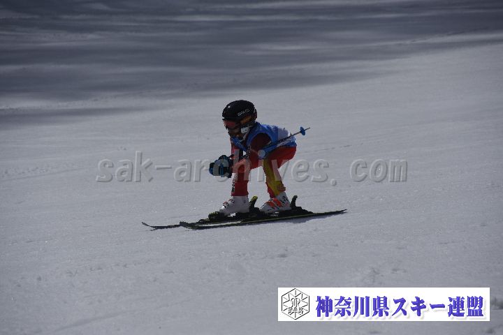 190310_120507_2.jpg