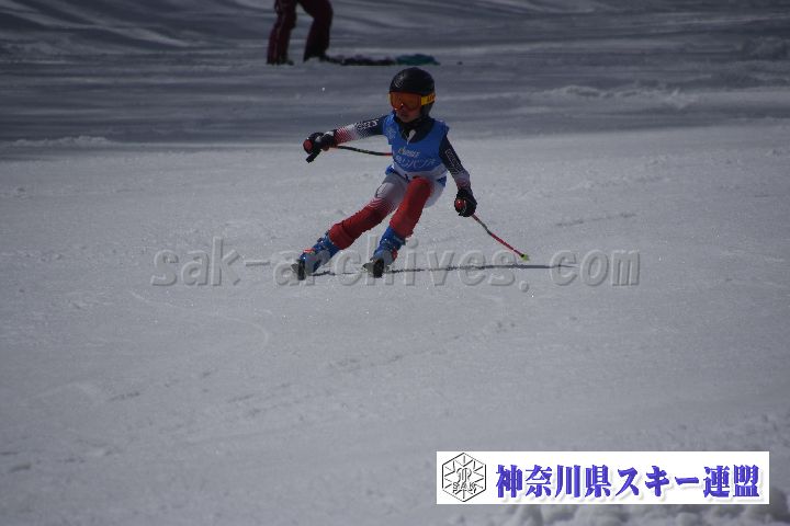 190310_120536_3.jpg