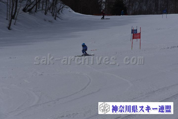 190310_120756_0.jpg