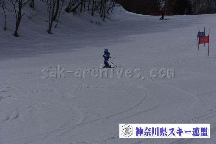 190310_120756_1.jpg