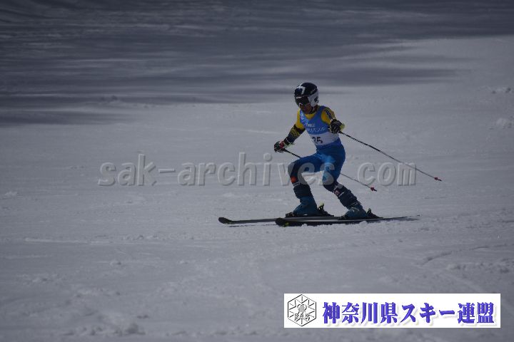 190310_121341_0.jpg