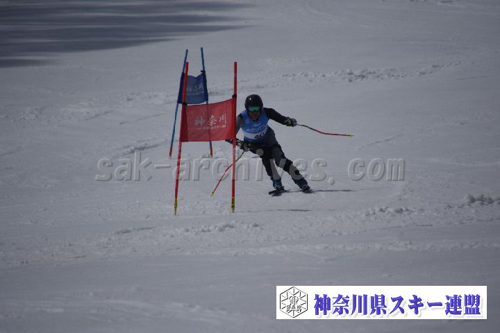 190310_121542_0.jpg
