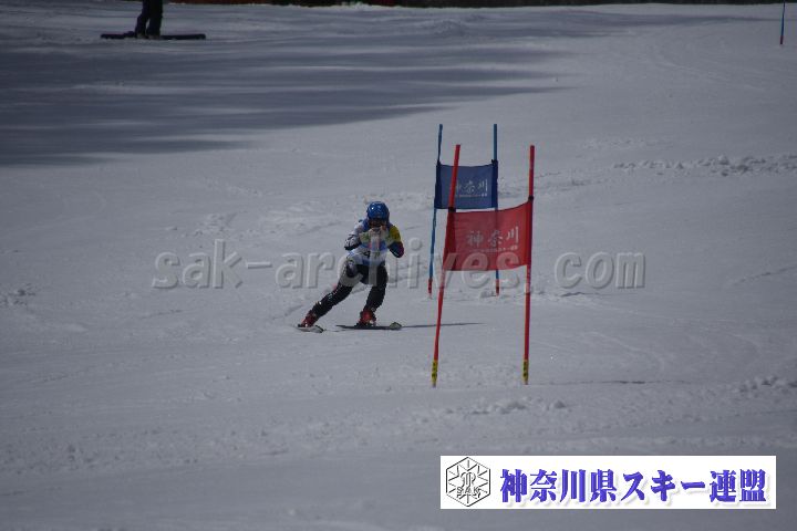 190310_121644_3.jpg