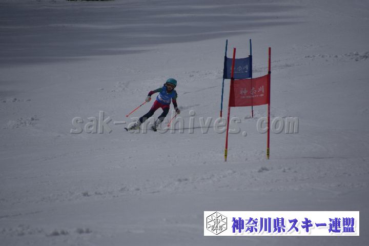 190310_122403_1.jpg