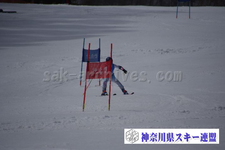 190310_122818_0.jpg