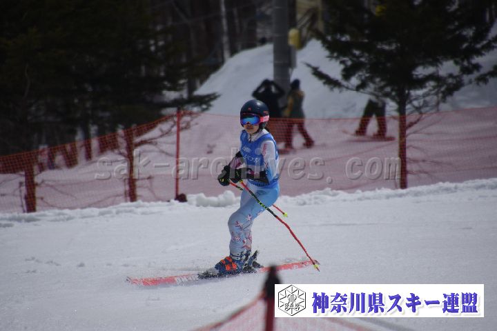 190310_122826_0.jpg