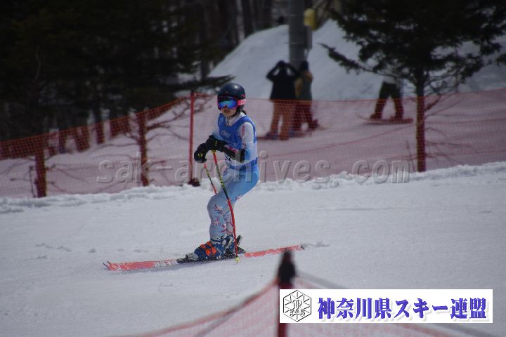 190310_122826_1.jpg