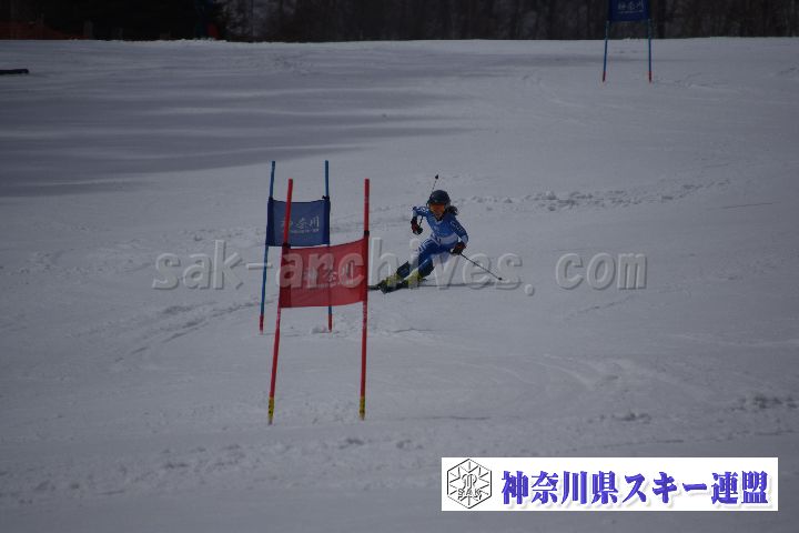 190310_122843_0.jpg