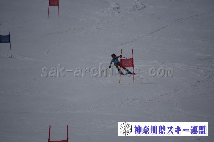 190310_123238_5.jpg