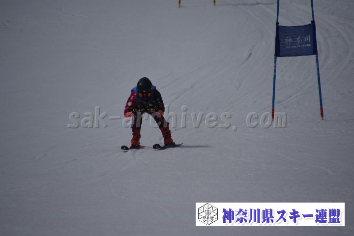190310_124013_1.jpg
