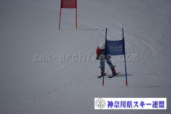 190310_124043_0.jpg