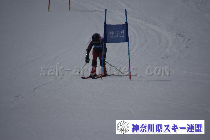 190310_124113_4.jpg