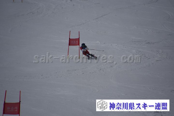 190310_124308_1.jpg