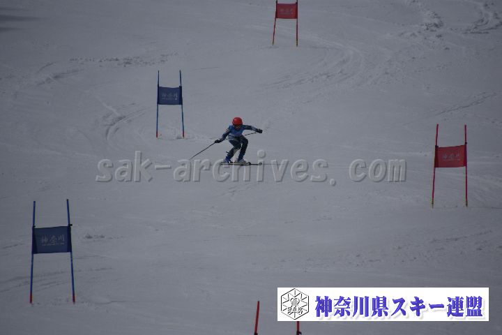 190310_124337_1.jpg