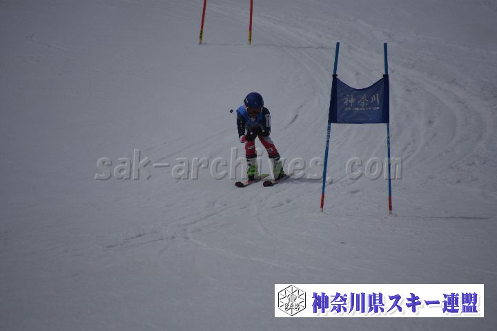 190310_124509_2.jpg