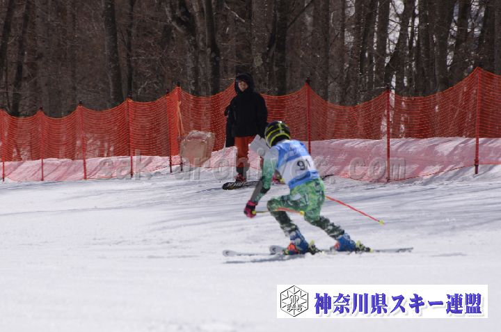 190310_101753_0.jpg