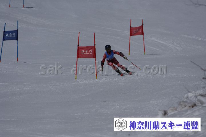 190310_102600_1.jpg