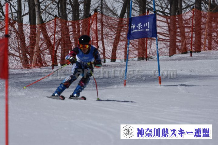 190310_102633_2.jpg