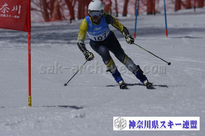 190310_102804_0.jpg