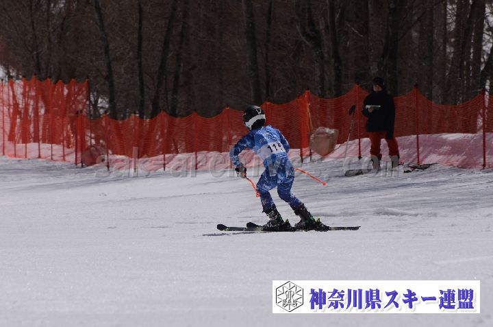 190310_103214_0.jpg