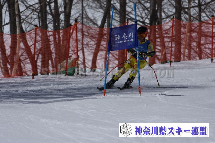 190310_103337_2.jpg