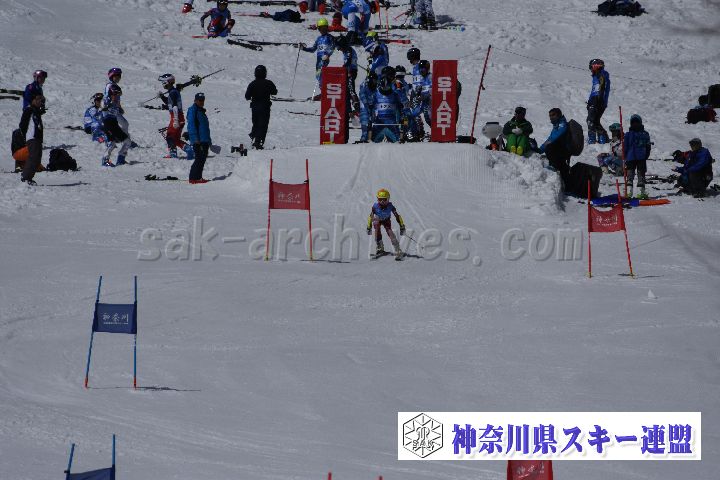 190310_103453_0.jpg
