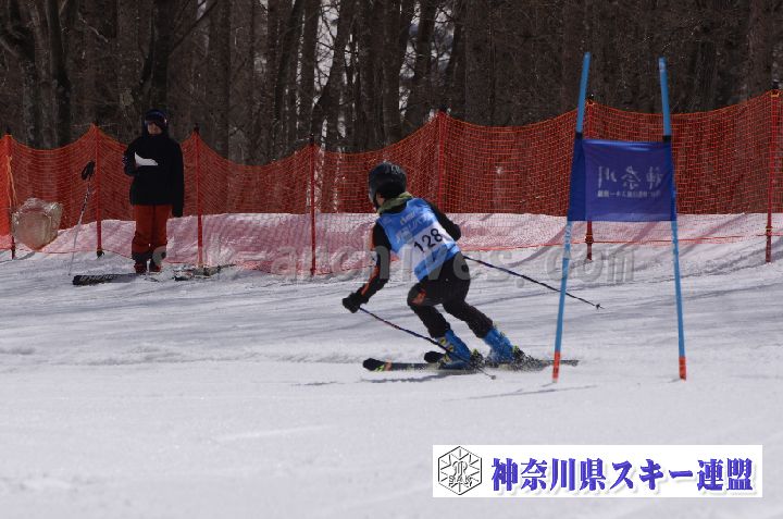 190310_103746_0.jpg