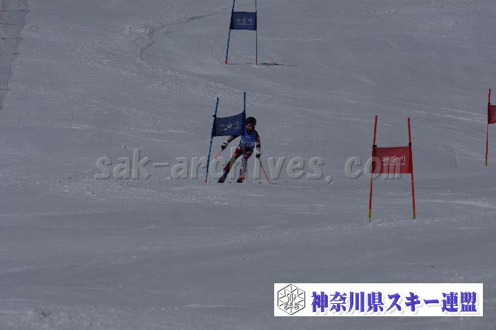 190310_104330_0.jpg