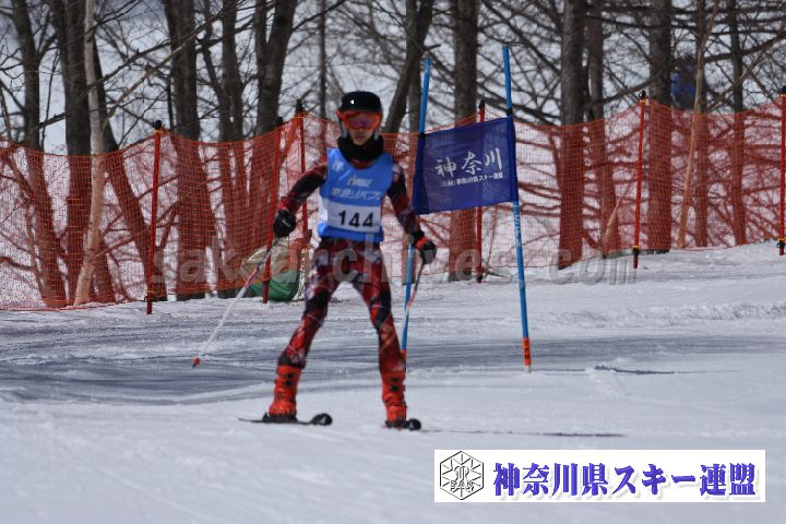 190310_104612_3.jpg