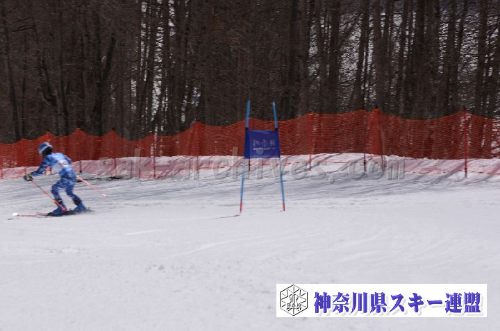 190310_104649_3.jpg