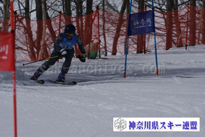190310_105142_0.jpg