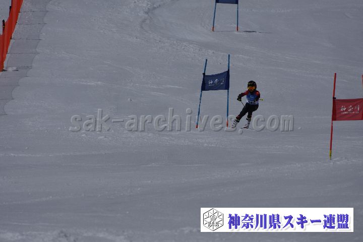 190310_105157_2.jpg