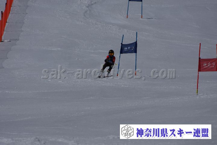 190310_105158_1.jpg
