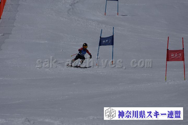 190310_105158_4.jpg