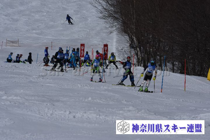 190309_113137_0.jpg