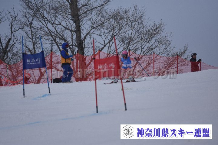 190316_093245_2.jpg