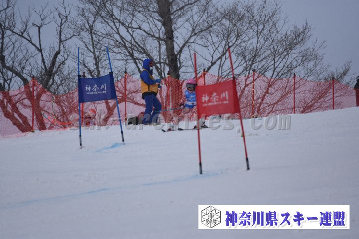 190316_093245_3.jpg