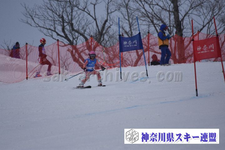 190316_093247_0.jpg