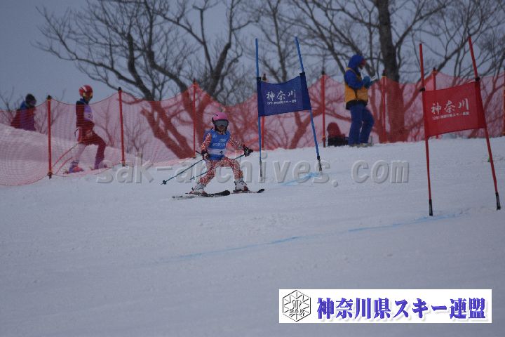 190316_093247_1.jpg