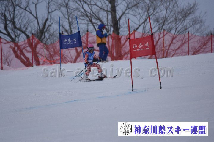 190316_093247_4.jpg