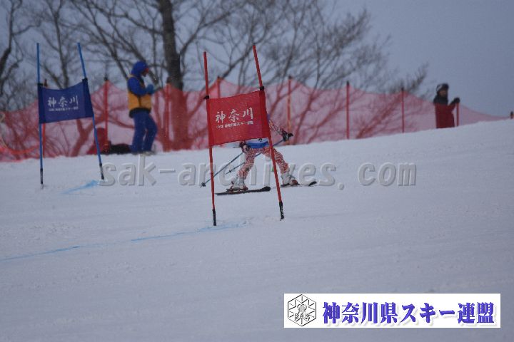 190316_093248_0.jpg