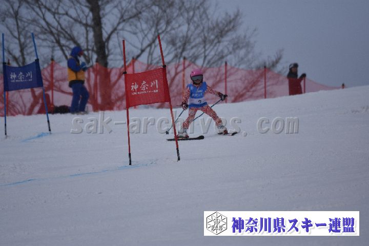 190316_093248_1.jpg